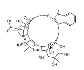 	((R)-4-Hydroxy-4-methyl-Orn⁷)-Phalloidin 
