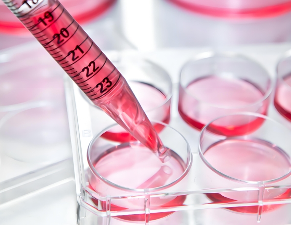 Biotin-PEG-Trypsin Inhibitor,生物素-PEG-胰蛋白酶抑制剂 用于探索胰蛋白酶 Biotin-PEG-Trypsin Inhibitor,生物素-PEG-胰蛋白酶抑制剂 用于探索胰蛋白酶