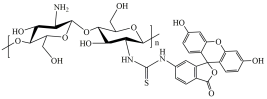 FITC-Chitosan