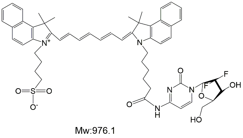 ICG-吉西他滨，ICG-Gemcitabine，吉西他滨