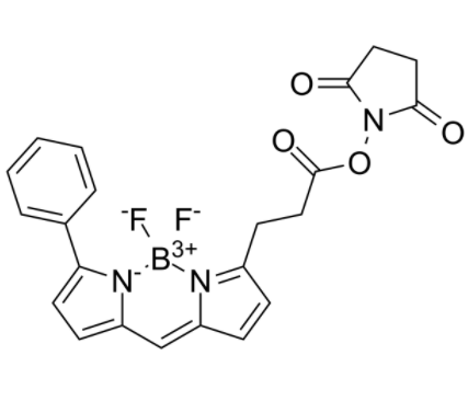 BIODIPY R6G ester BIODIPY R6G ester