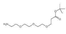 NH2-PEG3-CH2CH2COOtBu