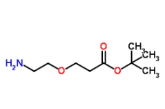 NH2-PEG1-CH2CH2COOtBu NH2-PEG1-CH2CH2COOtBu