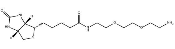 生物素-三聚乙二醇-氨基