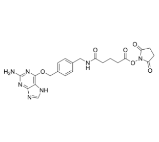 2-Aminopurine-O-Ph-NHCO-C3-NHS ester 