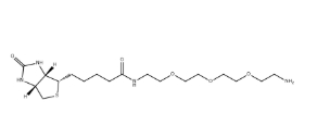 （+）-Biotin-PEG3-CH2CH2NH2