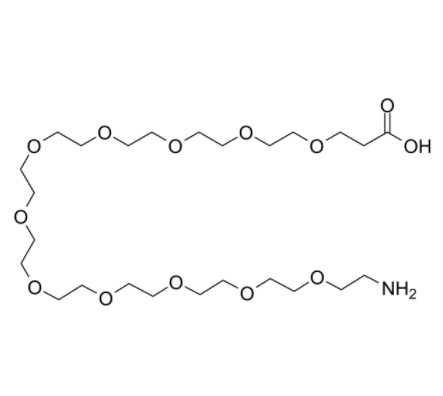 Amino-PEG11-acid 