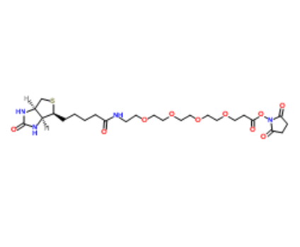 	Biotin-PEG4-NHS ester 
