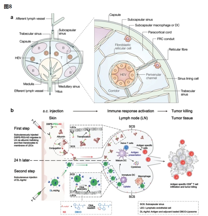 DSPE-PEG-N3 DSPE-PEG-N3