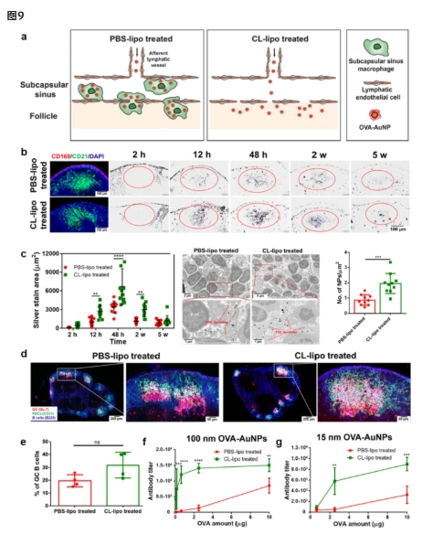 DSPE-PEG-N3 DSPE-PEG-N3