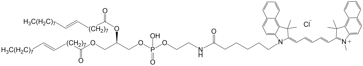DOPE-CY5.5，CY5.5标记磷脂