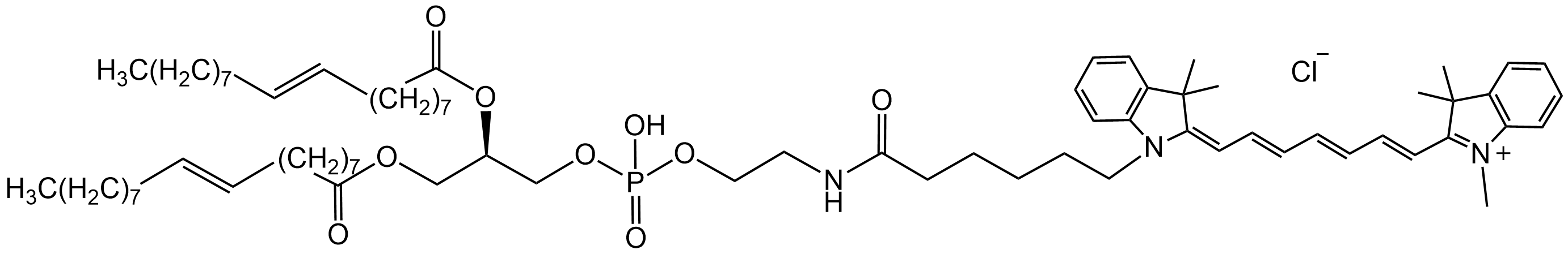 DOPE-CY7，磷脂-CY7 共轭物
