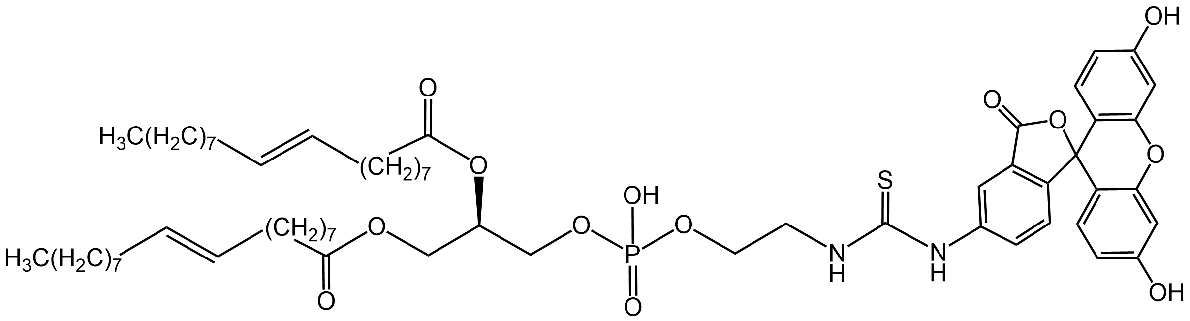 DOPE-FITC，脂质-荧光素异硫氰酸酯共轭物