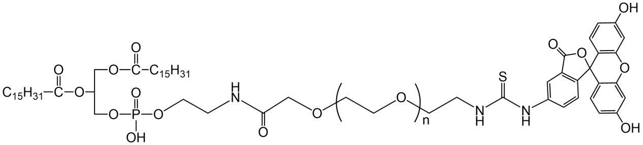 DPPE-PEG2000-FITC
