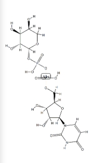 udp-阿拉伯糖CAS15839-78-8