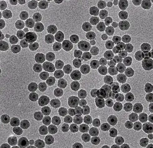 聚多巴胺纳米粒子（100 nm）