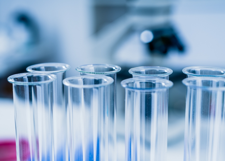 介孔聚多巴胺纳米粒载枸杞多糖