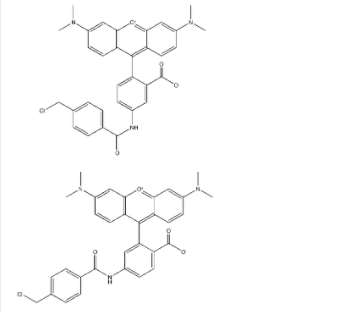 CYTOTRACE橙色荧光示踪探针CMTMR 