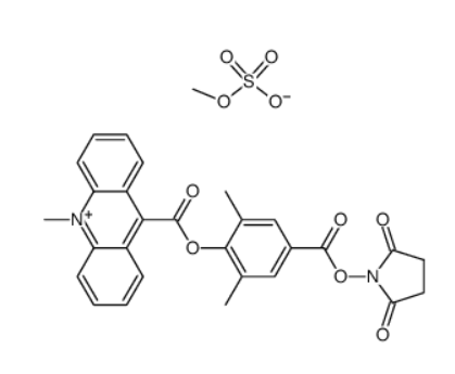 吖啶盐(DMAE-NHS) 