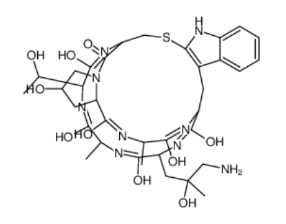 ((R)-4-Hydroxy-4-methyl-Orn⁷)-Phalloidin 