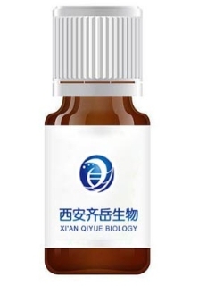 FITC标记的右旋糖酐