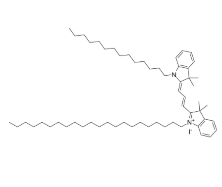PKH-26 (RED) 外泌体示踪染料 