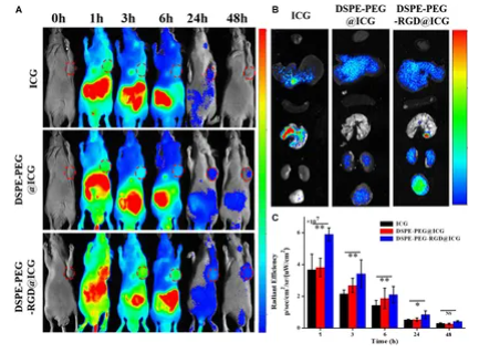 DSPE-PEG-RGD DSPE-PEG-RGD