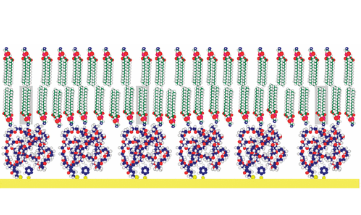 DSPE-PEG-PDP DSPE-PEG-PDP