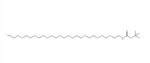 BocNH-PEG8-CH2CH2NH2