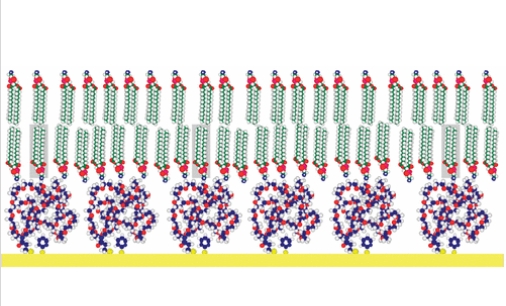 DSPE-PEG-PDP DSPE-PEG-PDP