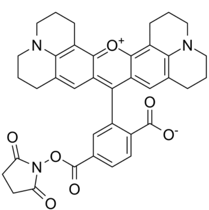 1751445487753943.png image.png