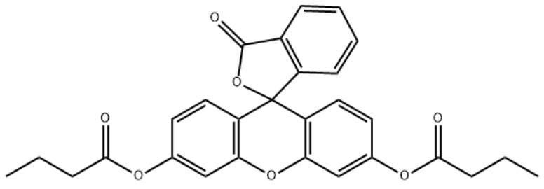 荧光素二丁酸酯 