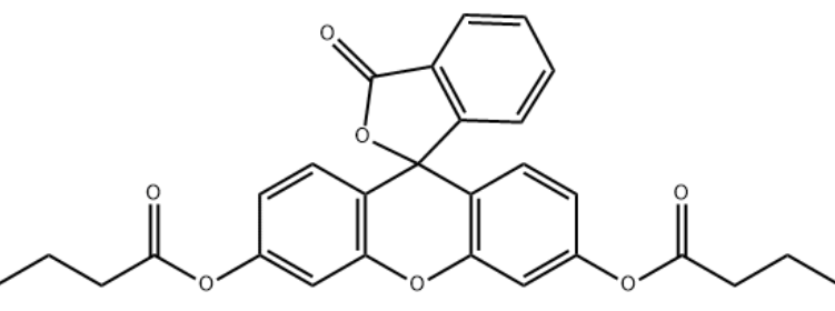 5'-荧光素氨基磷酸酯 5'-荧光素氨基磷酸酯