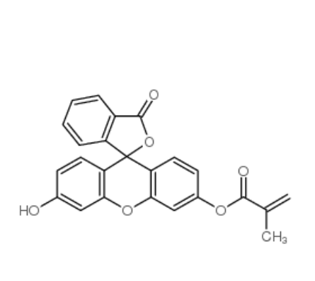 荧光素O-甲基丙烯酸酯 荧光素O-甲基丙烯酸酯