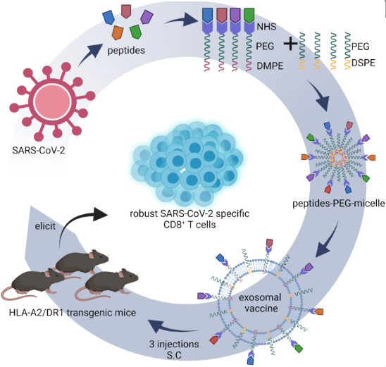 1751525948174202.png image.png