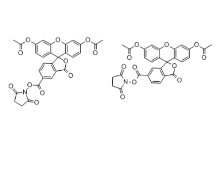 5(6)-羧基二乙酸荧光素琥珀酰亚胺酯(CFDA)	 