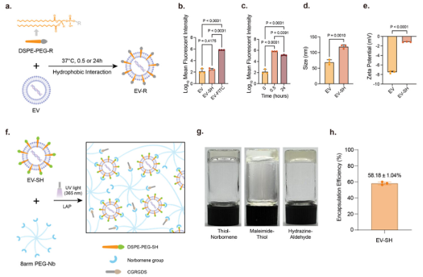 DSPE-PEG-FITC DSPE-PEG-FITC
