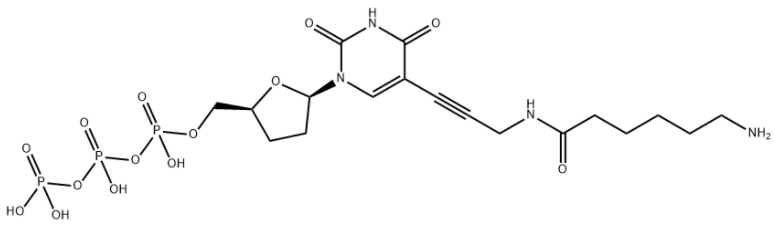 Amino-11-ddUTP Amino-11-ddUTP