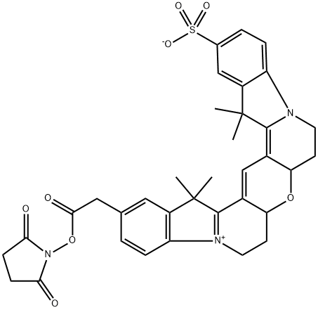 CY3B-琥珀酰亚胺酯 CY3B-琥珀酰亚胺酯