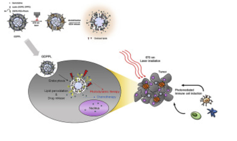 1752046495645428.png image.png