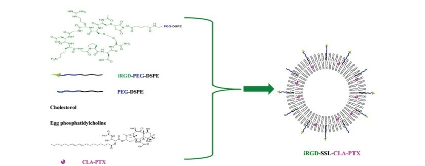 iRGD-PEG-DSPE iRGD-PEG-DSPE