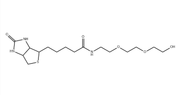 (+)-Biotin-PEG3-OH (+)-Biotin-PEG3-OH