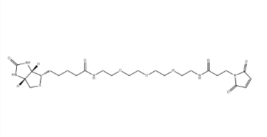 （+）-Biotin-PEG3-NH-Mal