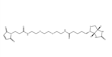 （+）-Biotin-PEG2-NH-Mal