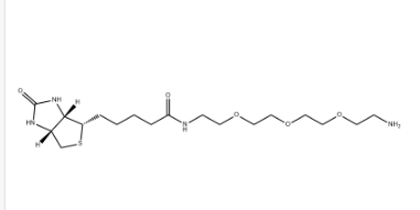（+）-Biotin-PEG3-CH2CH2NH2