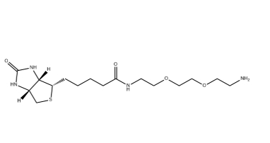 （+）-Biotin-PEG2-CH2CH2NH2