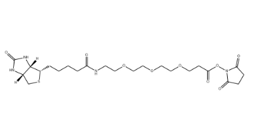 (+)-Biotin-PEG3-NHS Ester (+)-Biotin-PEG3-NHS Ester