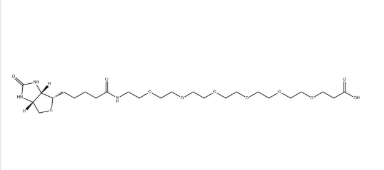 （+）-Biotin-PEG6-CH2CH2COOH