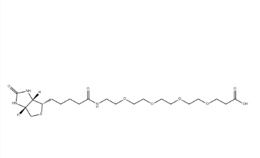 （+）-Biotin-PEG4-CH2CH2COOH