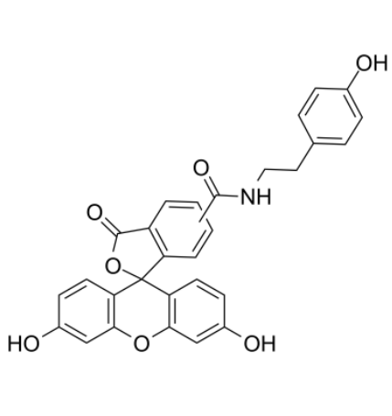 	Fluorescein tyramide 